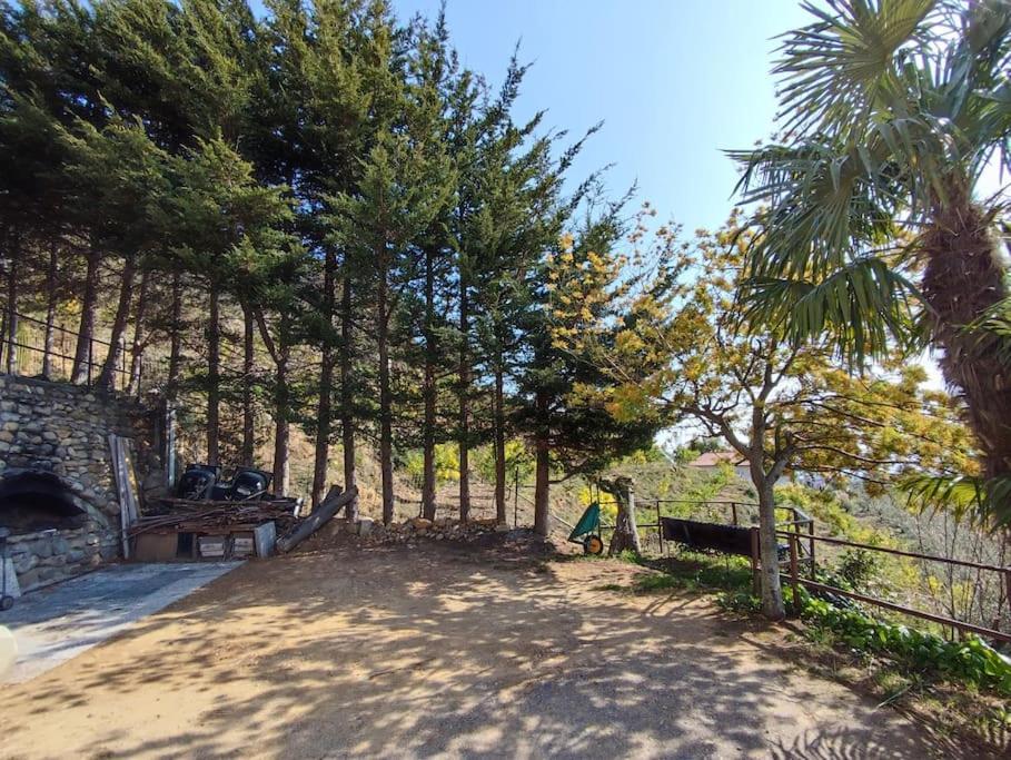 Detached House With Garden And Sea View Guest House Sanremo Luaran gambar