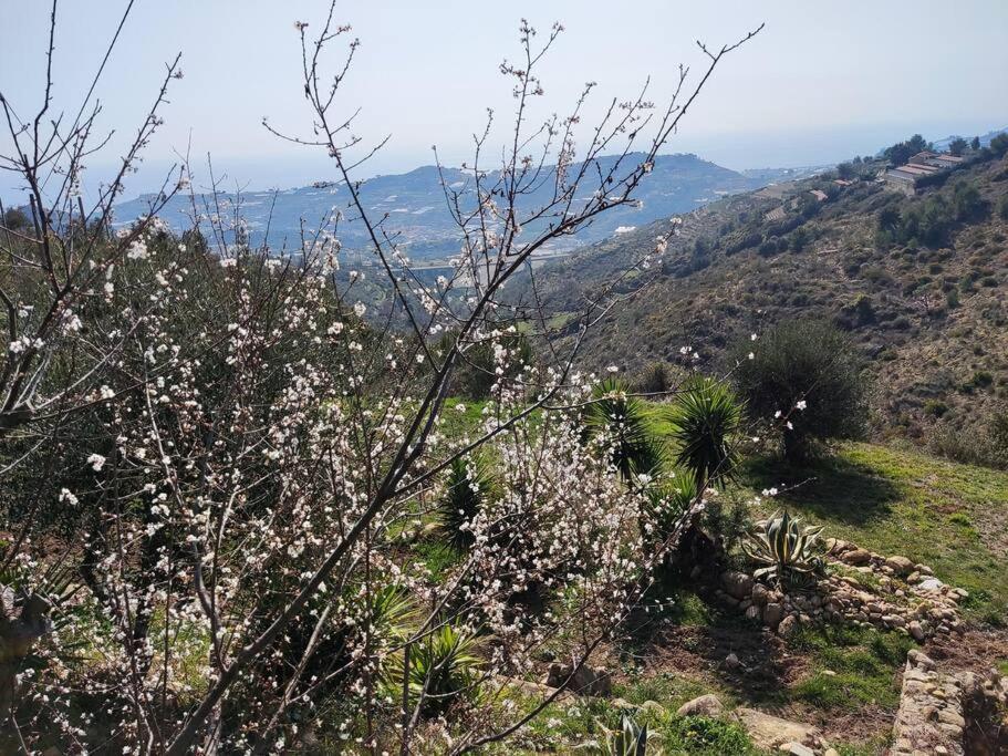 Detached House With Garden And Sea View Guest House Sanremo Luaran gambar