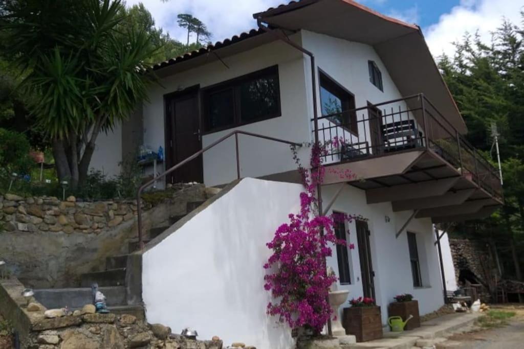 Detached House With Garden And Sea View Guest House Sanremo Luaran gambar